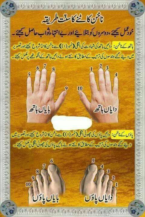 Allhajj Peer... - Allhajj Peer haroon Rasheed sab mohra shrif