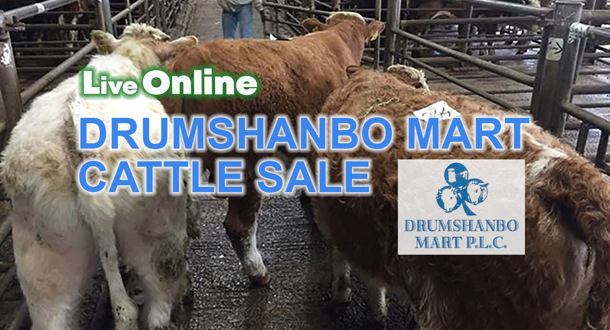 Drumshanbo Mart PLC PSRA NO. 003868 | Drumshanbo
