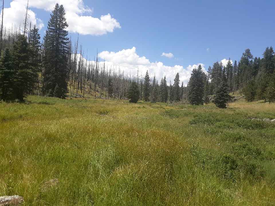 Flying Box Ranch Horse and Cow Camp