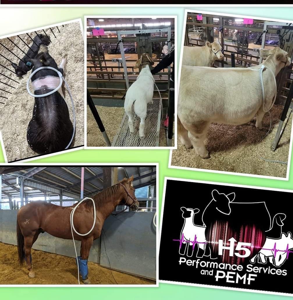 HI5 Performance Services LLC. & PEMF