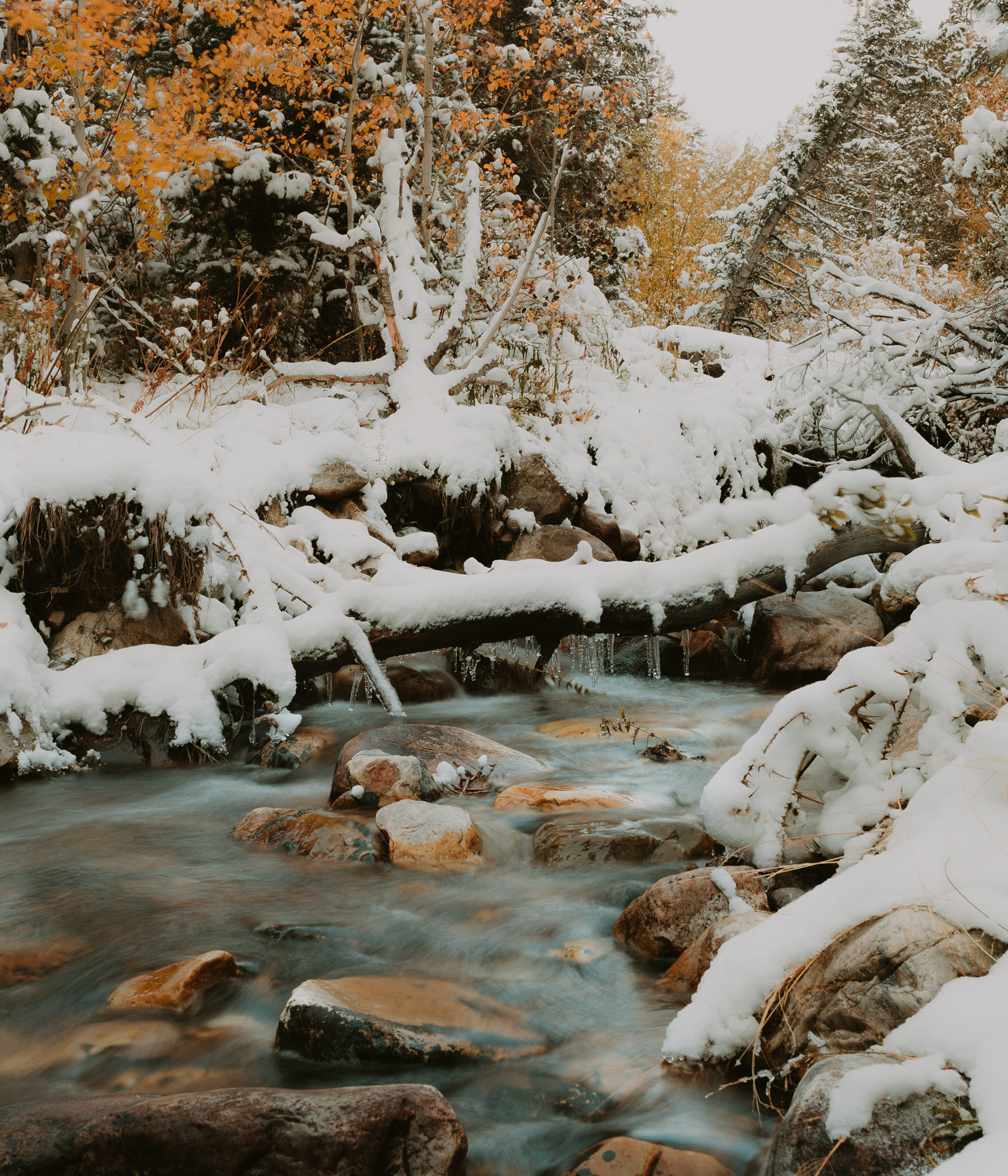 Great Basin Nat'l Park, Nevada Z50 - Viltrox 9mm