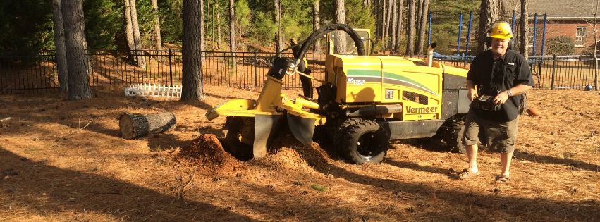 Snow's Stump Grinding | Athens GA