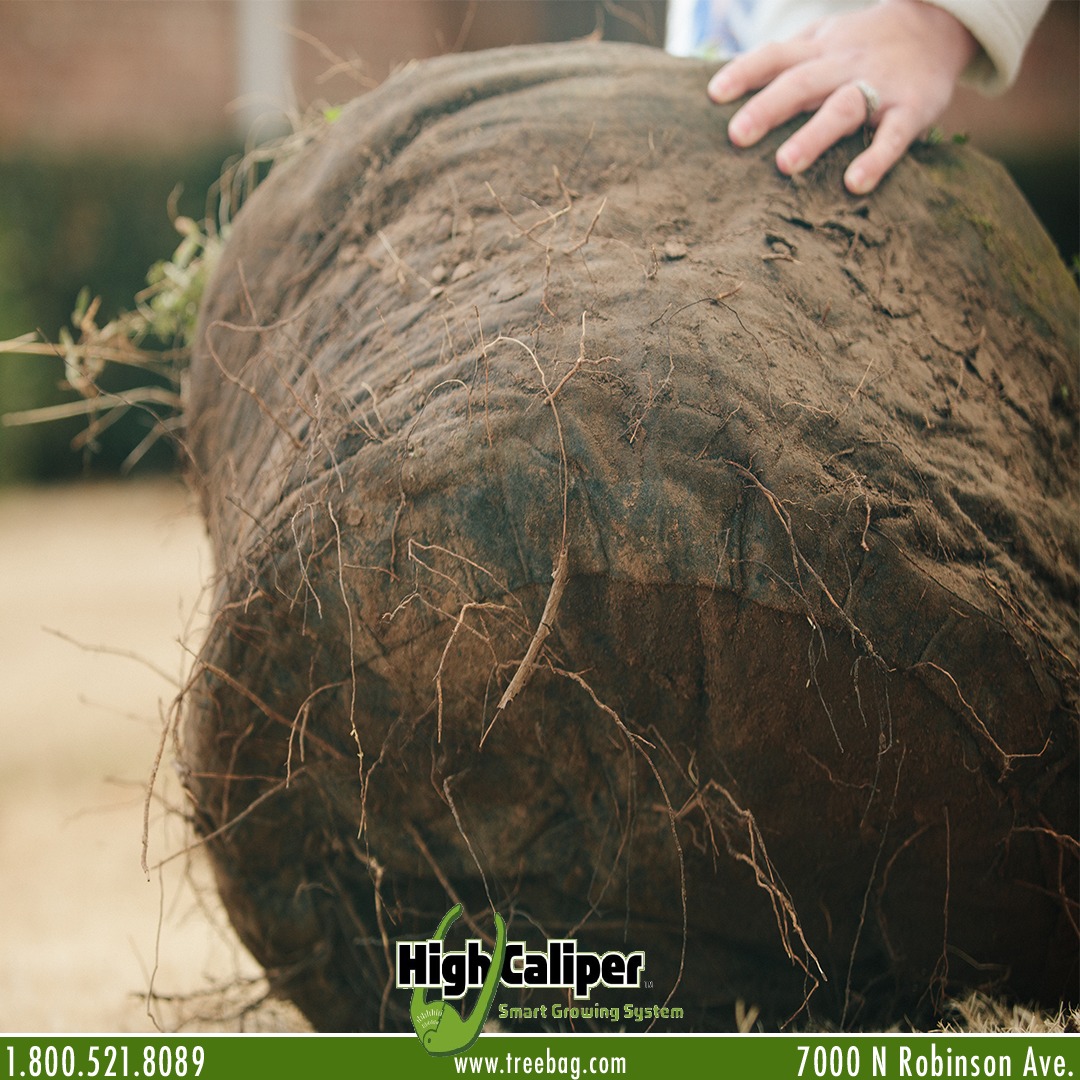 The Root Control Bag™ makes... - High Caliper Growing, Inc. | Facebook