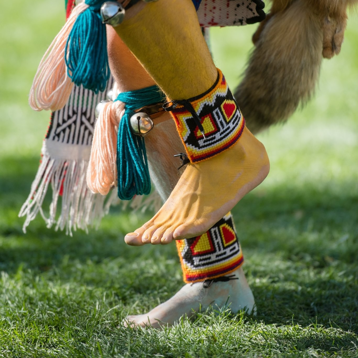 Immersive evening of Indigenous Arizona foodways, Native fashion, and ...