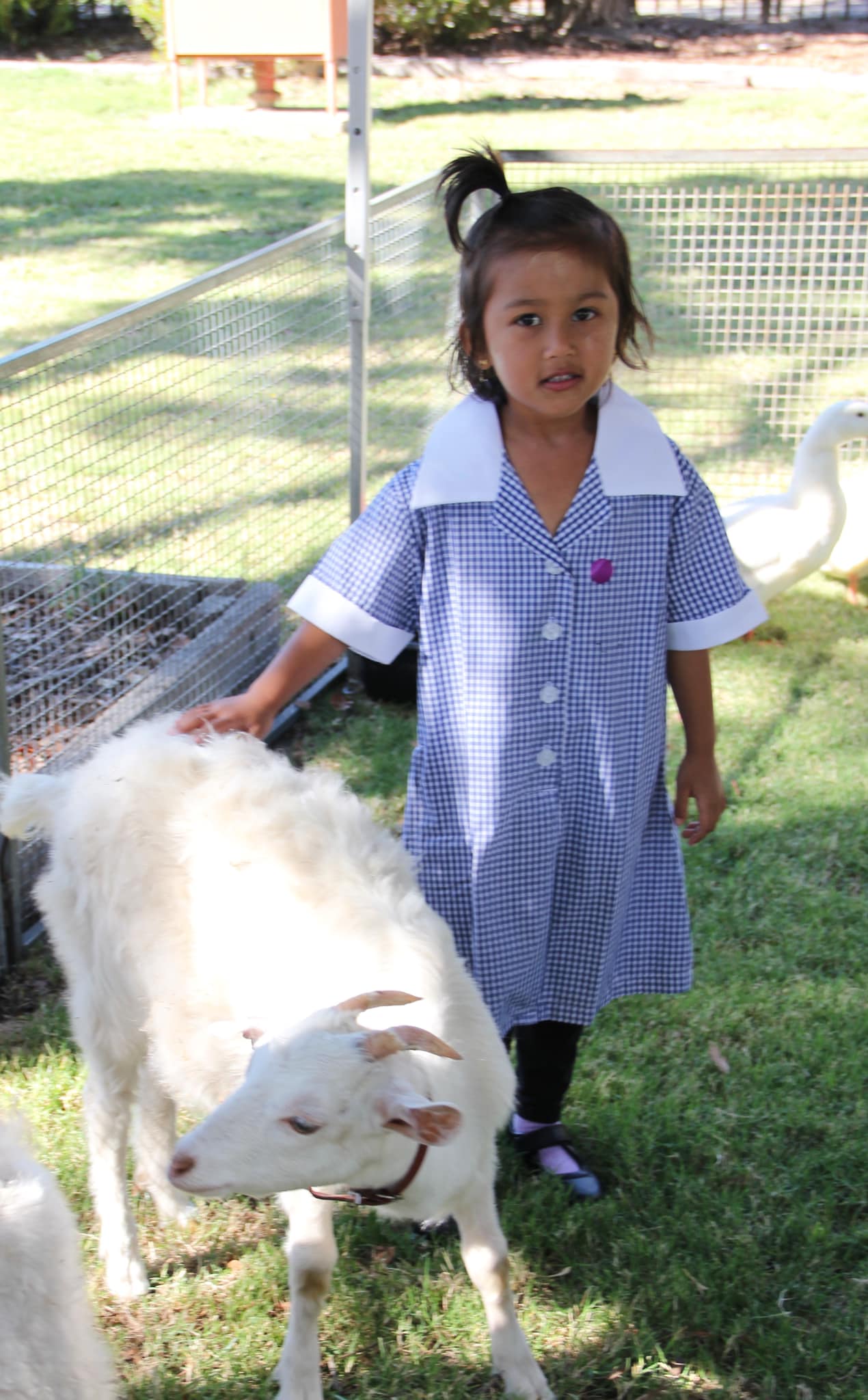 Our Foundation Family Fun... - Springvale Rise Primary School | Facebook