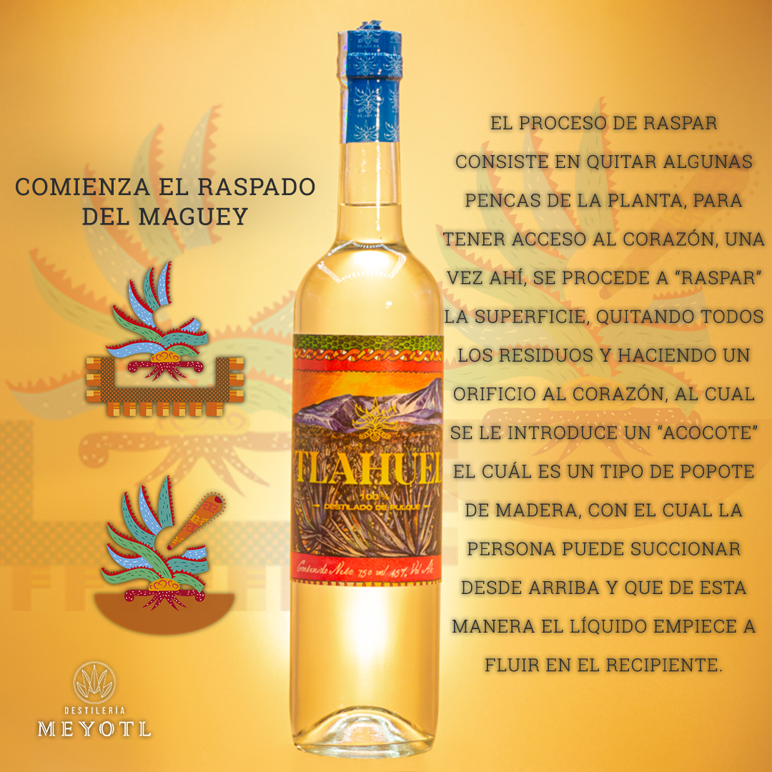 MEYOTL - 💚El proceso de raspar 🌱 consiste en quitar...