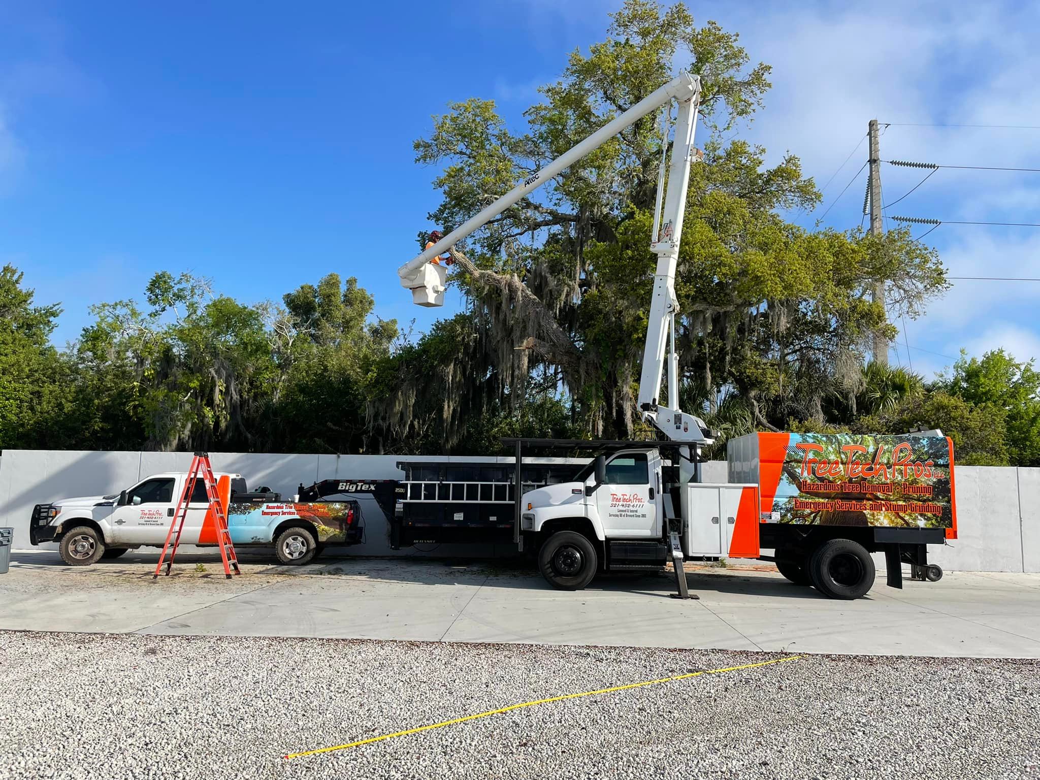 Tree Tech Pros LLC | Rockledge FL