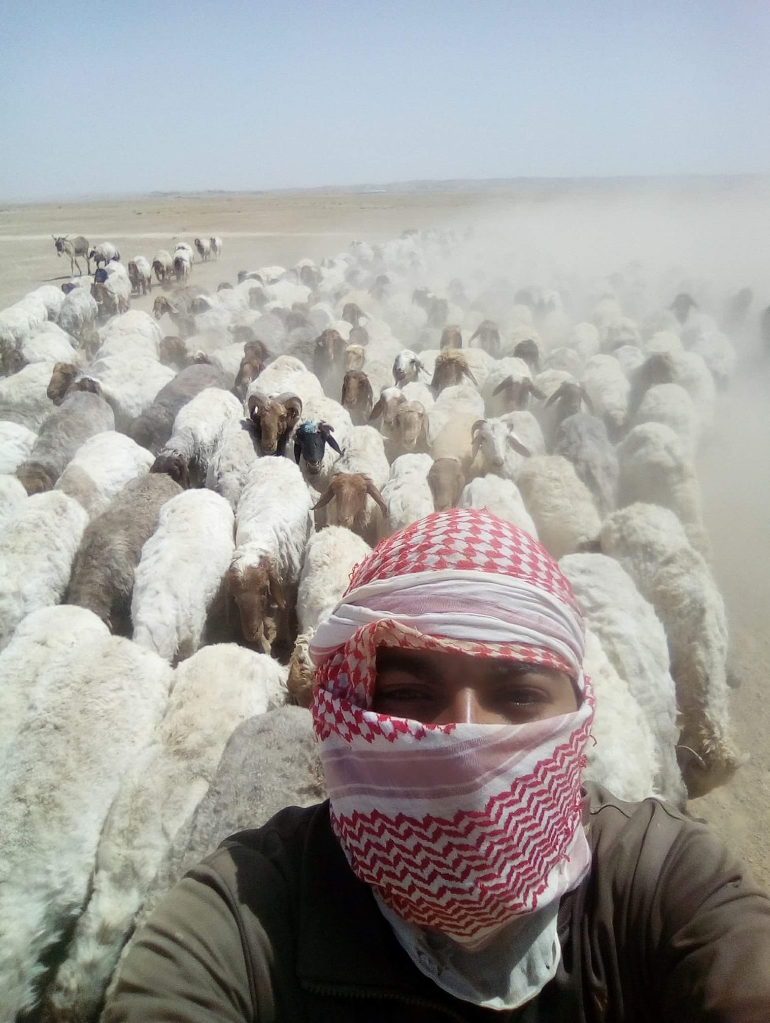 راعي غنم مطلوب راعي زو كفائة عاليه ويتحمل الحر Facebook