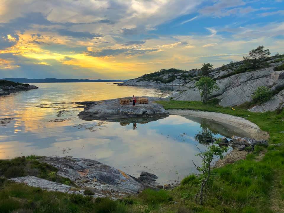 Sjøholt bed and breakfast... - Sjøholt bed and breakfast