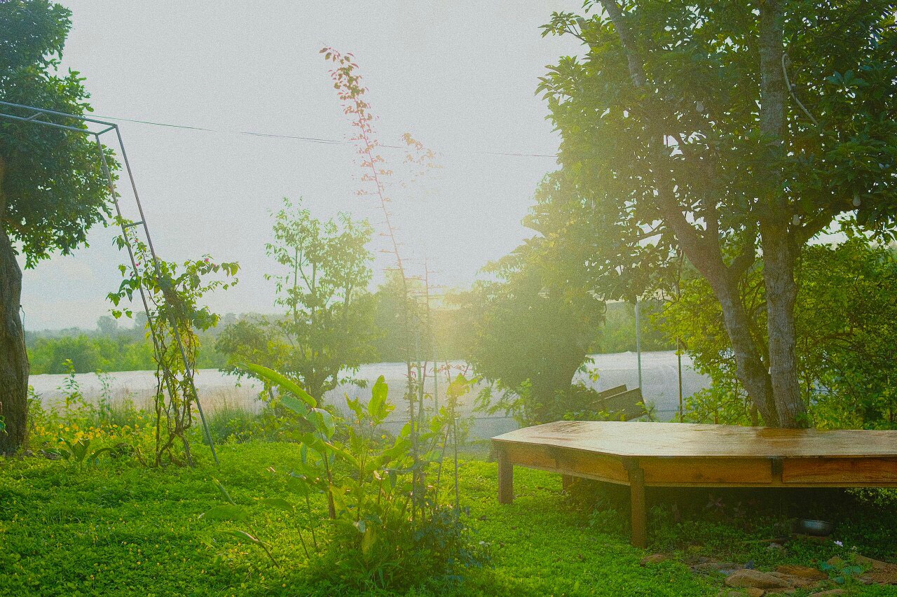 TODO Farm - Organic Farming & Retreat | Tuy Hòa