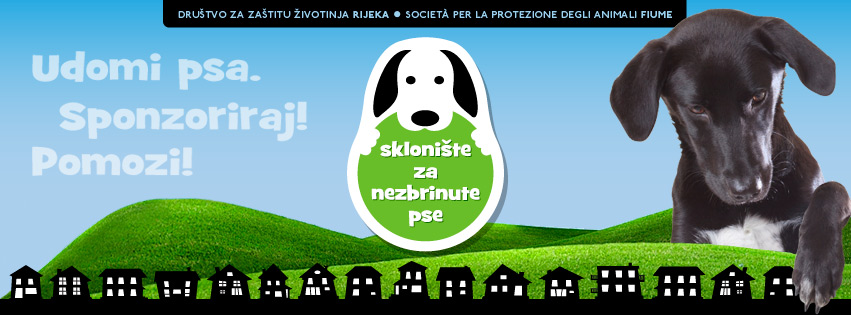 Azil za pse 