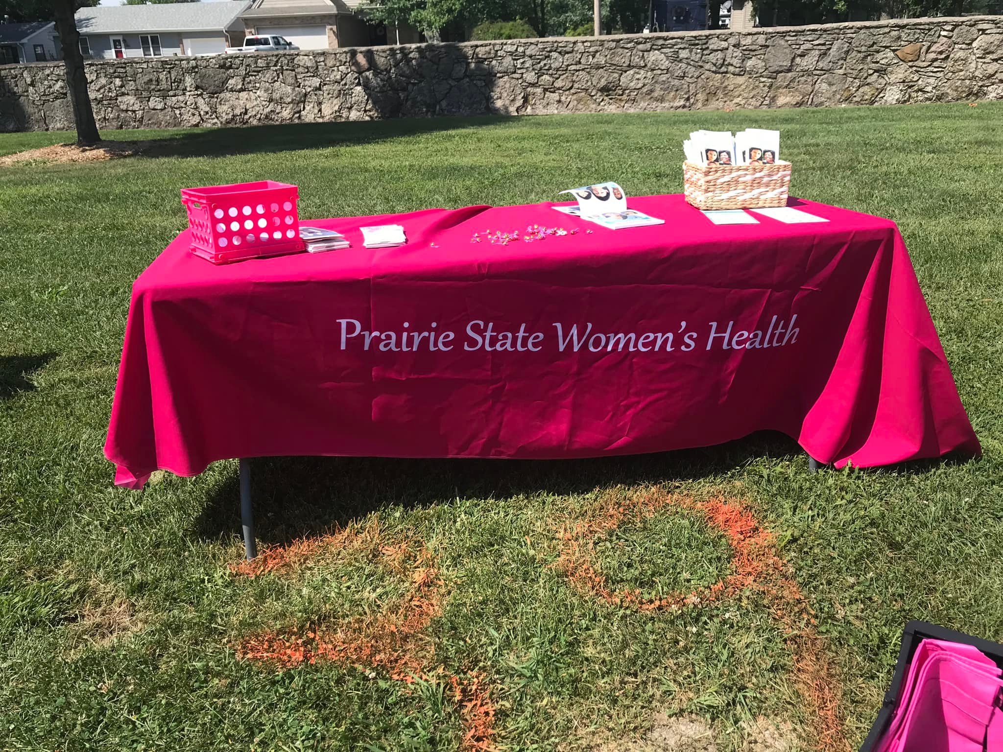 Illinois Breast and Cervical Cancer Program