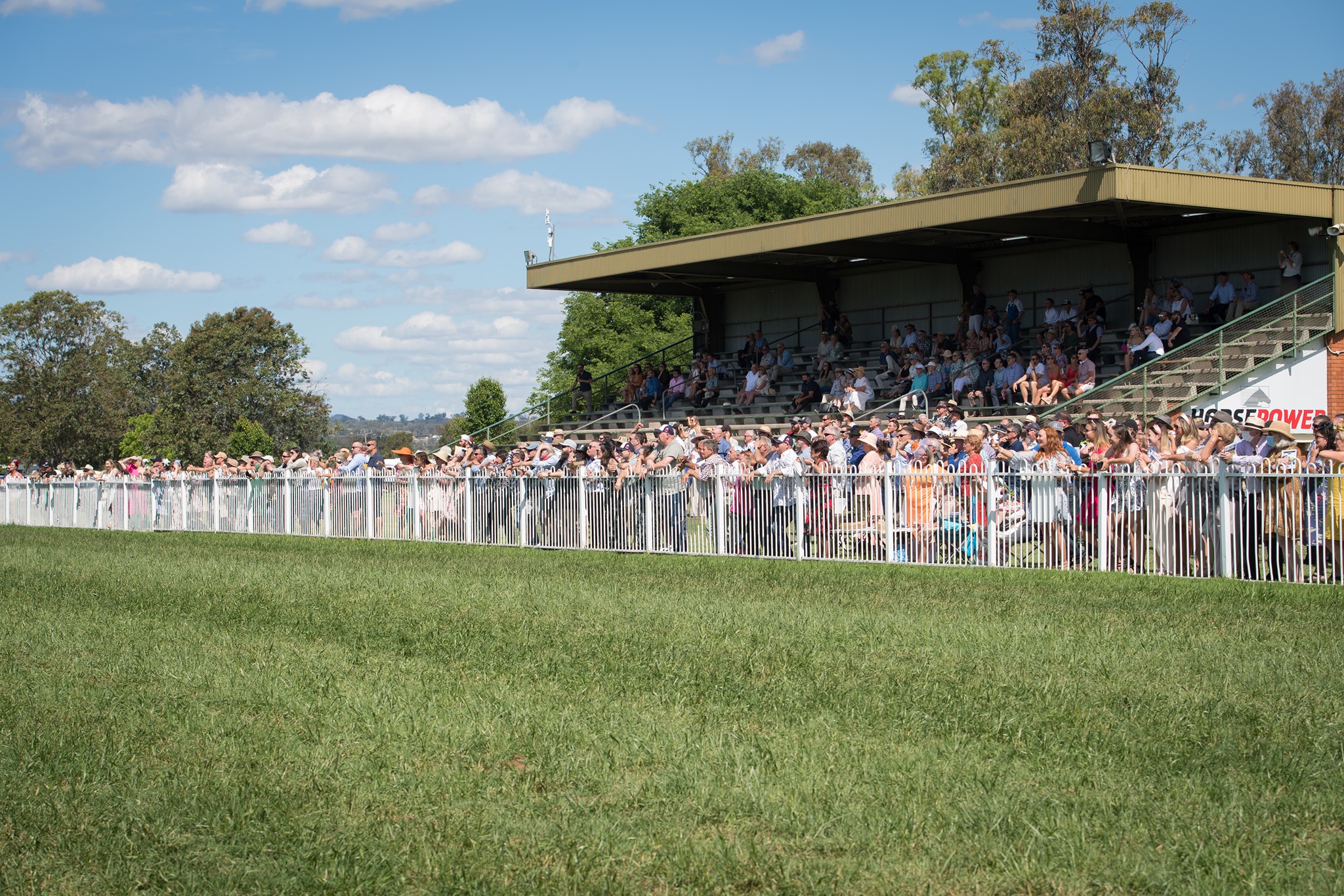 A festive afternoon at... - Muswellbrook Race Club | Facebook