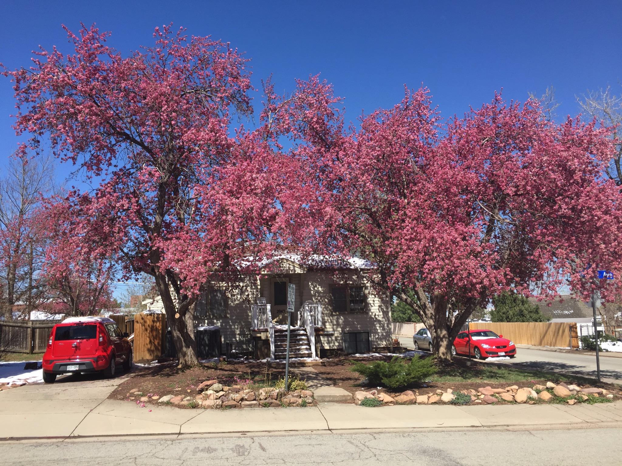 New West Property Management Arvada CO