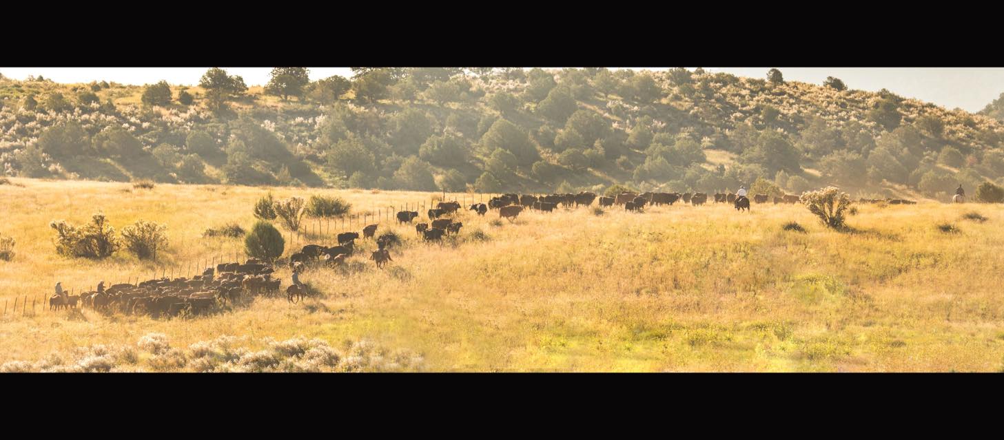 O RO Ranch