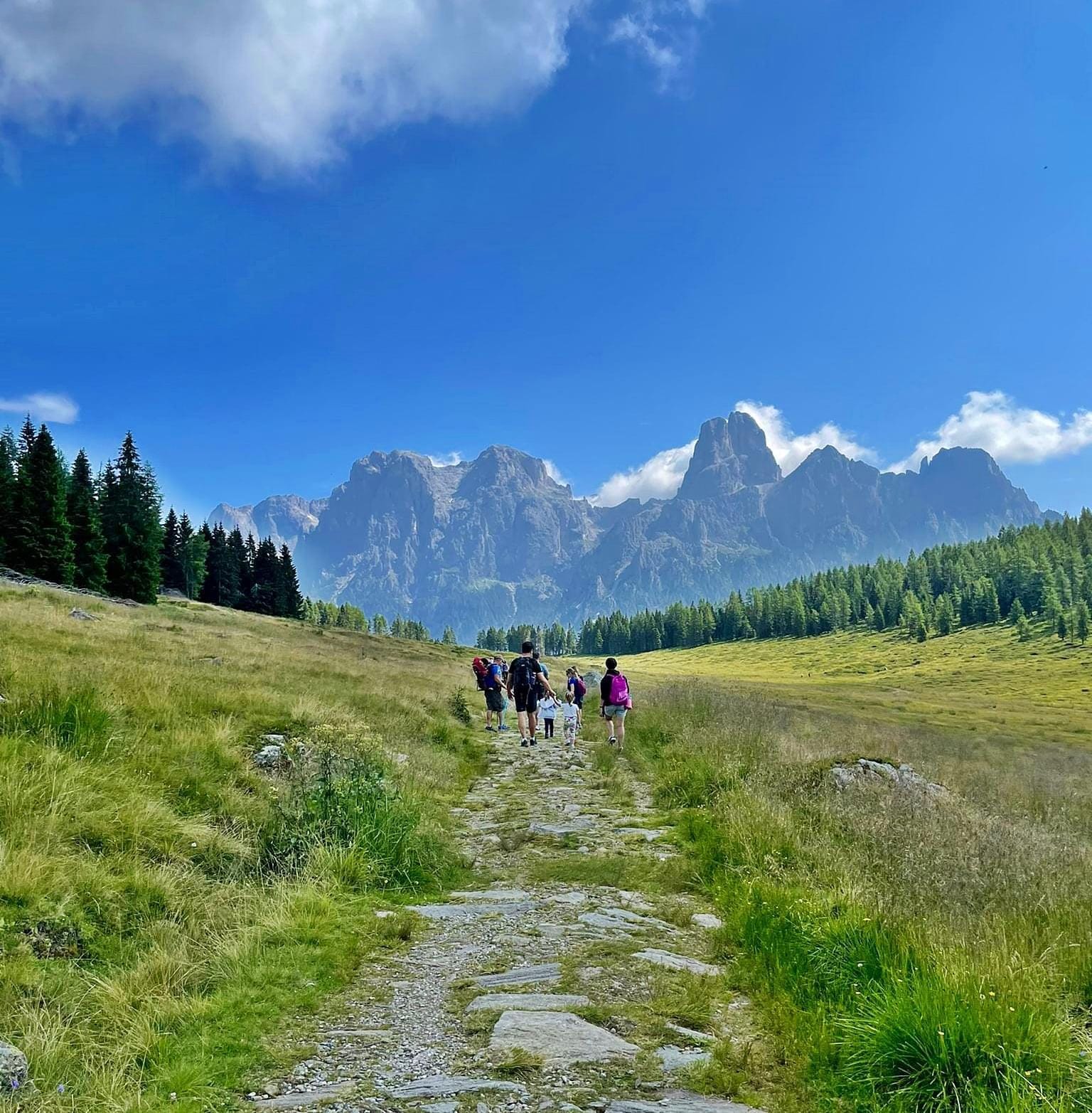 Meta Messaggio