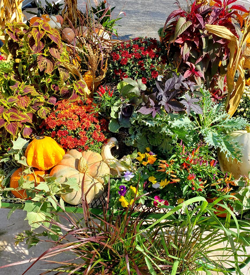 Wheeler Gardens - Fall has begun and we have everything...