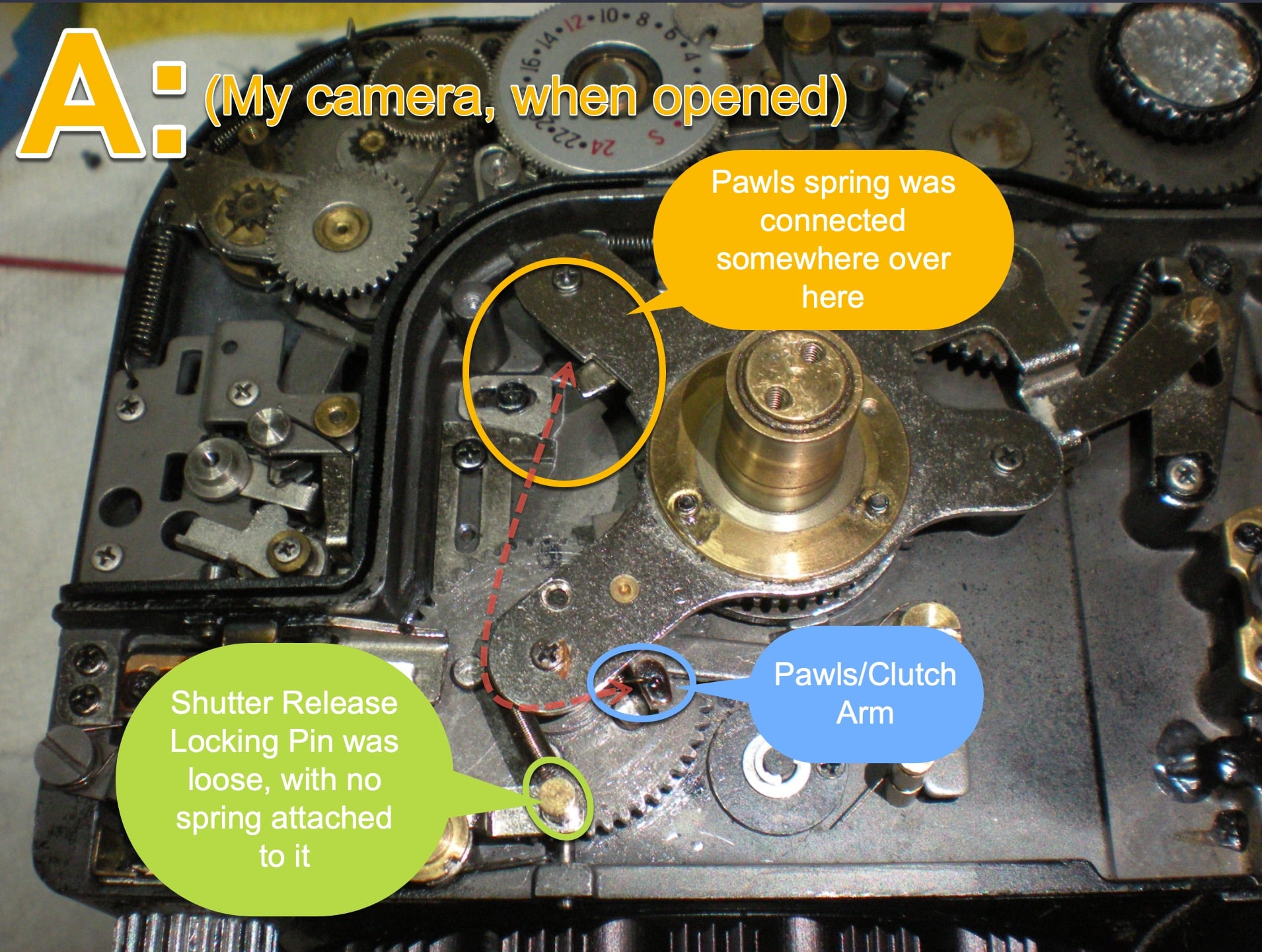 Kowa 6 service manual