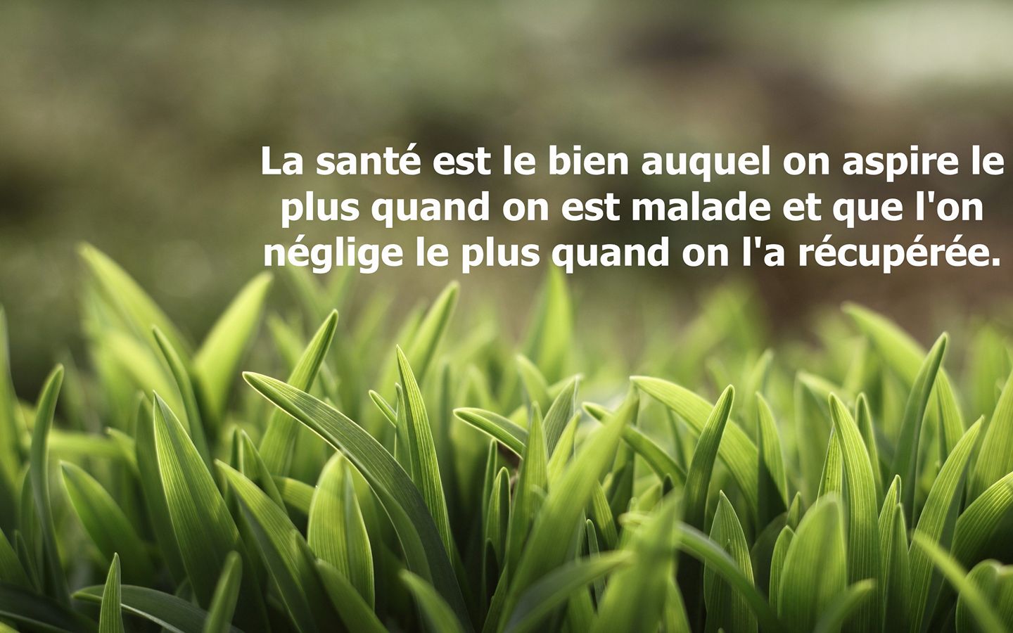 Roll-on D'huile Médicinale Jaune Somthawin – 8CC, Soulage Vertiges Et Congestion Nasale Naturellement