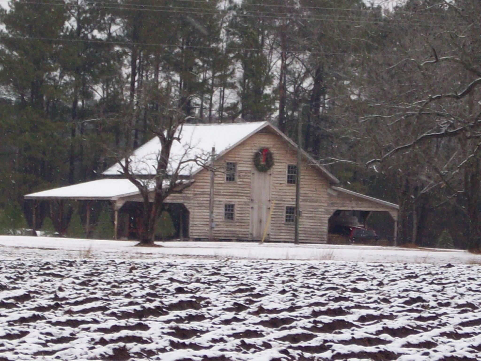 Booth's Christmas Tree Farm | Conway SC