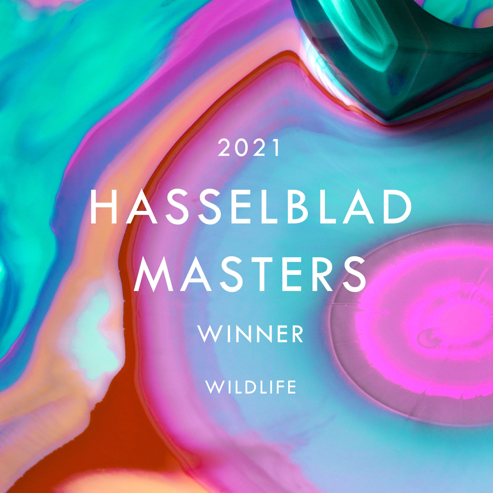 It's official news! 💜 I'm Hasselblad Master 2018 💜 Thanks so so