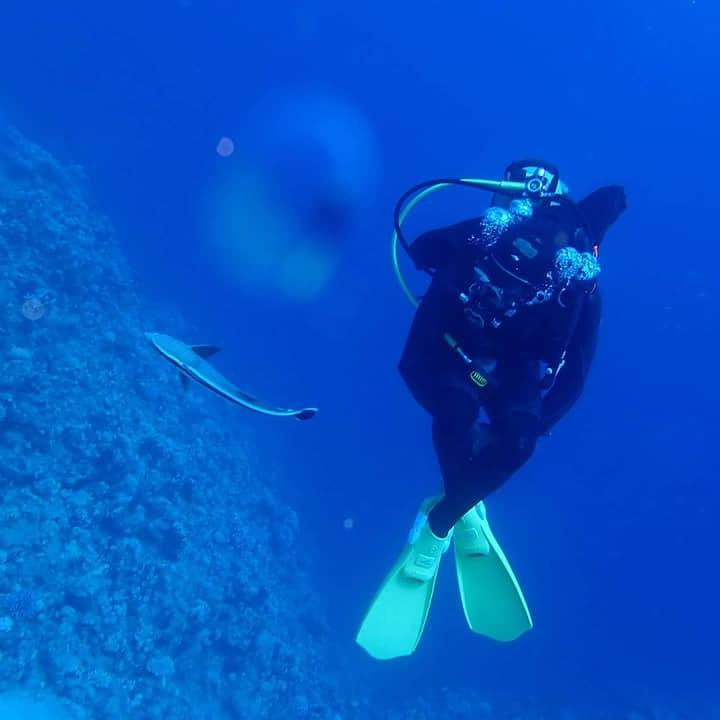 Dive Educate Protect - Leading stretch session for my instructor course ...