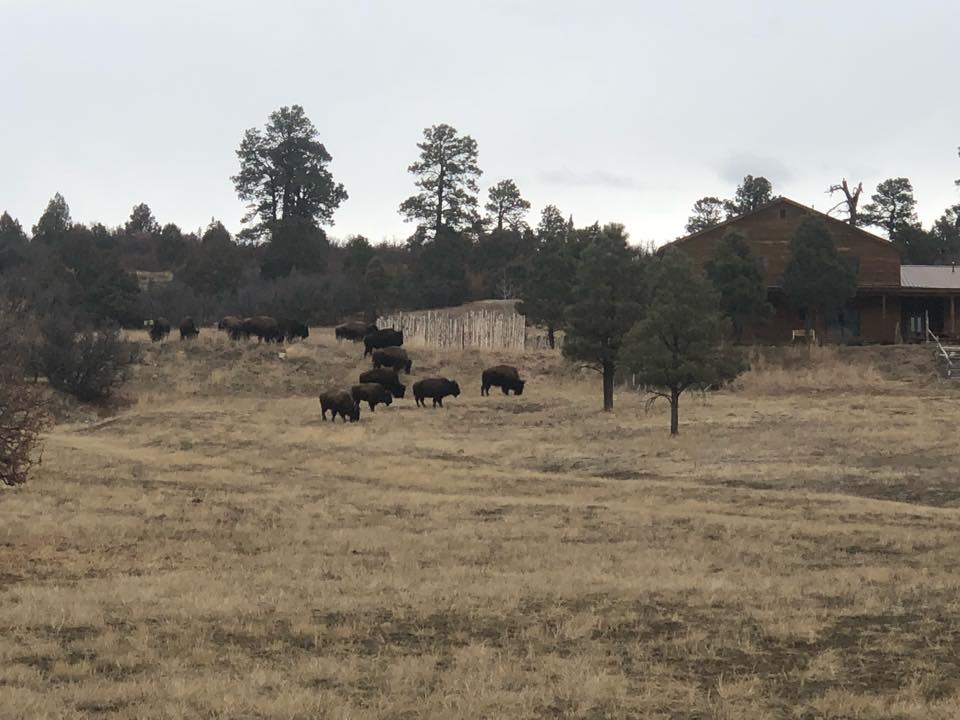 Quinlan Ranch | Chama NM