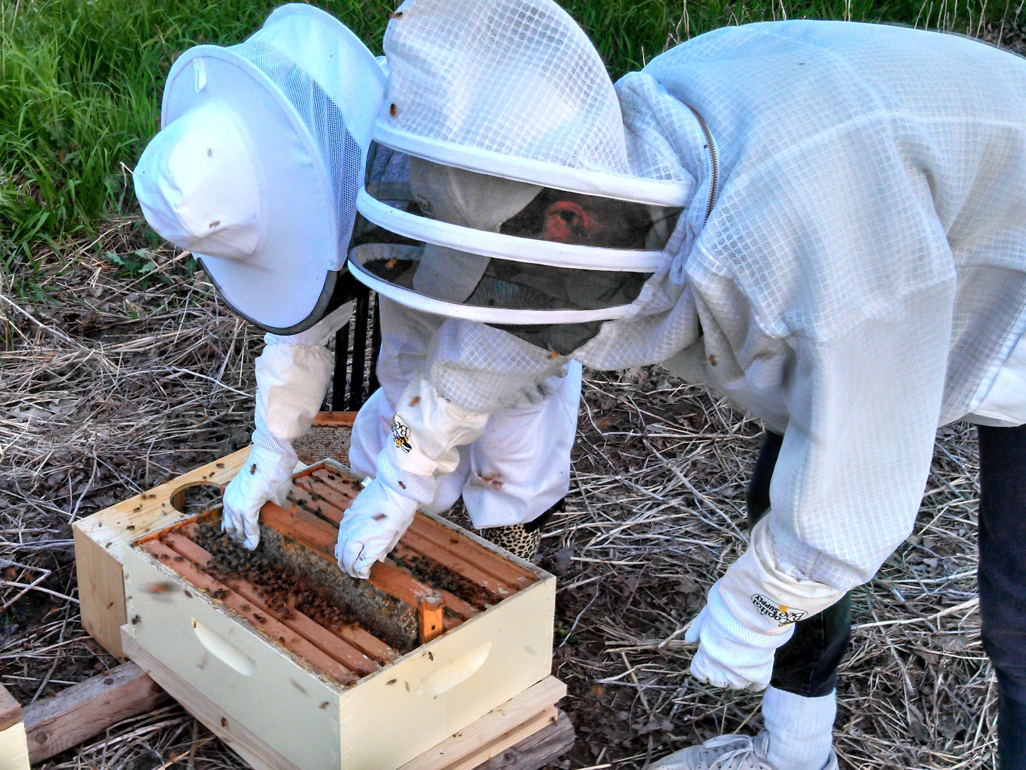 Capital's 2022 beekeeping class... - Capital Bee Supply | Facebook