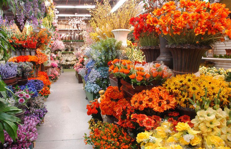 Fresh Cut Farm - U Pick... - Fresh Cut Farm - U Pick Flowers