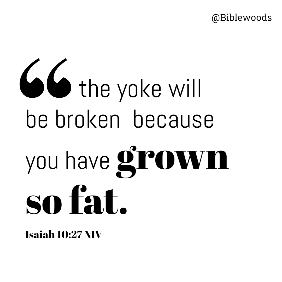 Biblewoods - the yoke will be broken because you have... | Facebook