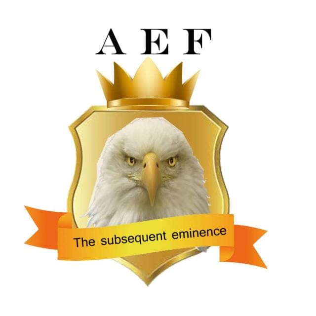 Anambra Elites Forum (AEF) | The DSS of Awka Command told my lawyer ...