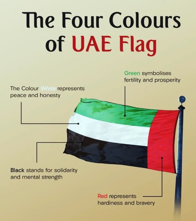 🇦🇪 The colors of the UAE flag... - Capital One Real Estate