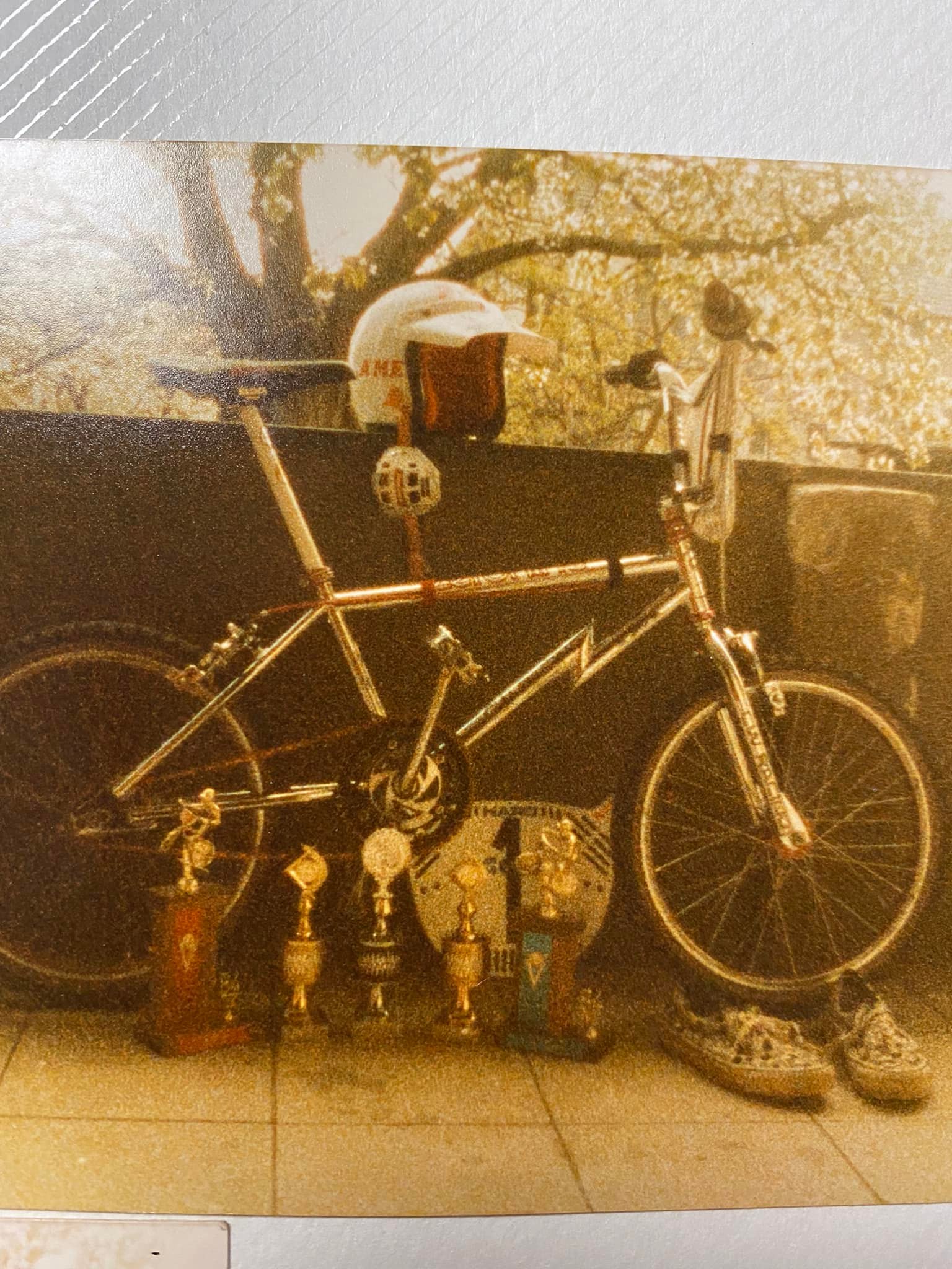 CW ZX Pro BMX Bike Nostalgia and Experiences