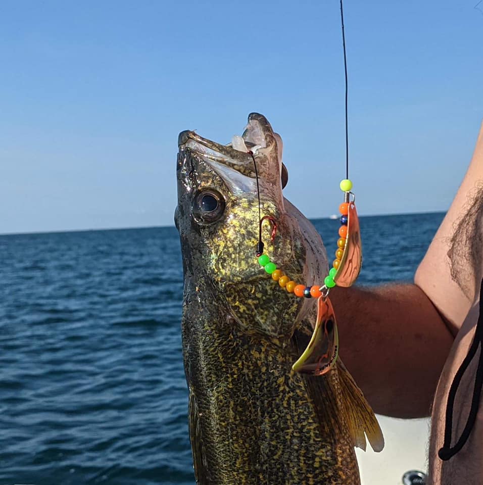 Ontario Sportfishing Guides Association - VHF Radio Course - Get your ...