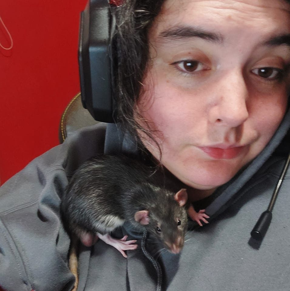 Tails of Talos Rattery | New Britain CT