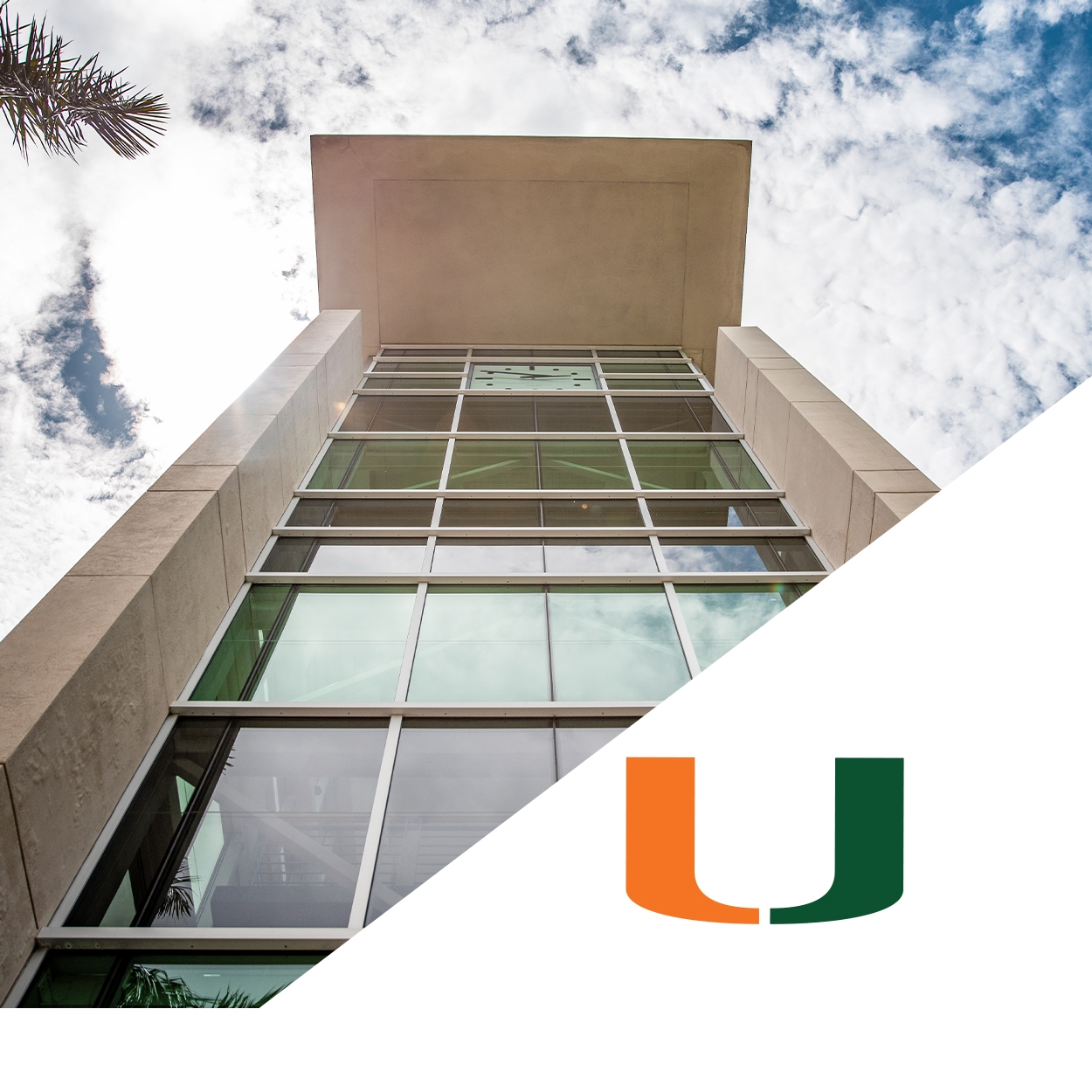 University of Miami Libraries | Coral Gables FL
