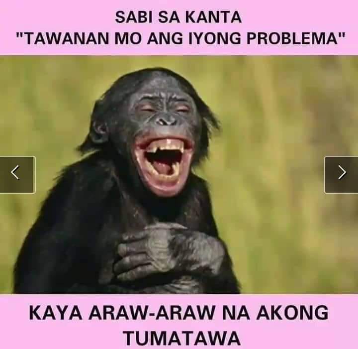 Pusong Wasak
