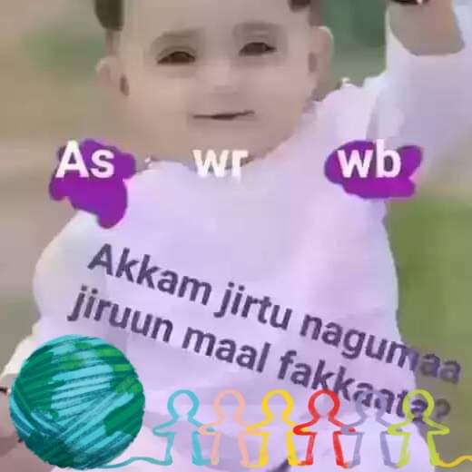 Tofaa Tofi