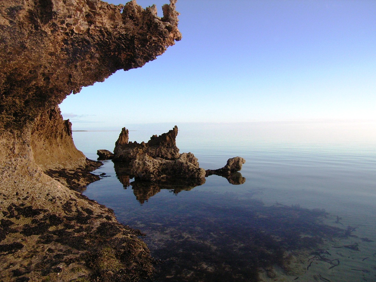 🌊 ONE WEEK TO GO! 🌊 Flavours... - Streaky Bay Visitor Centre | Facebook