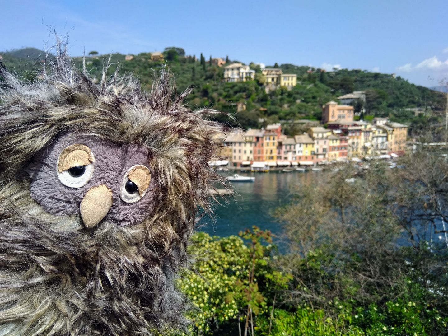 dipi-trying-to-blend-in-dipitheowl-owl-beanieboos-kull