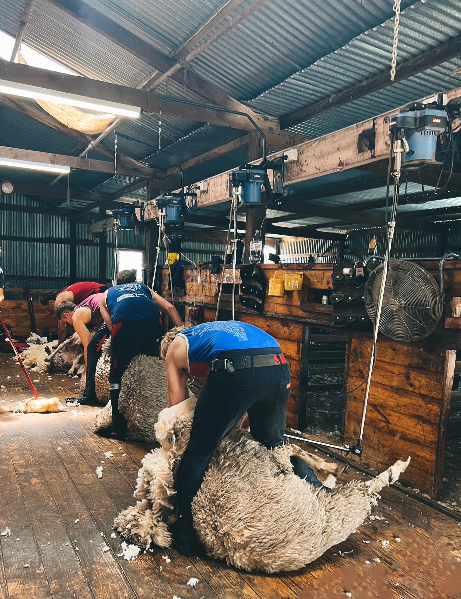 HB Rural Feedlot | Warnertown SA