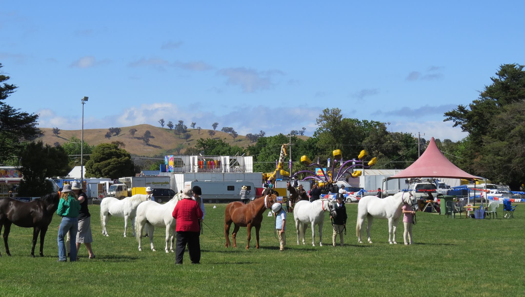 Fidget Farm | Melbourne VIC
