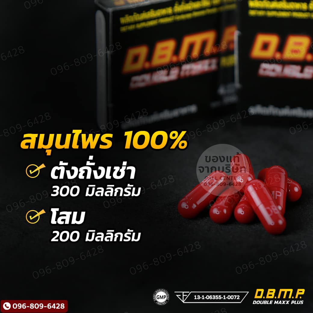Double Maxx PLUS อึด ทน นาน