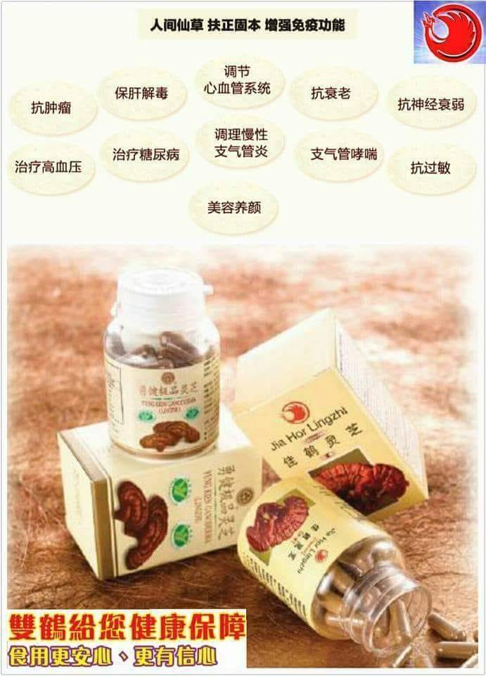 勇健极品灵芝yung Kien Ganoderma 健康灵芝 0102046004 Facebook