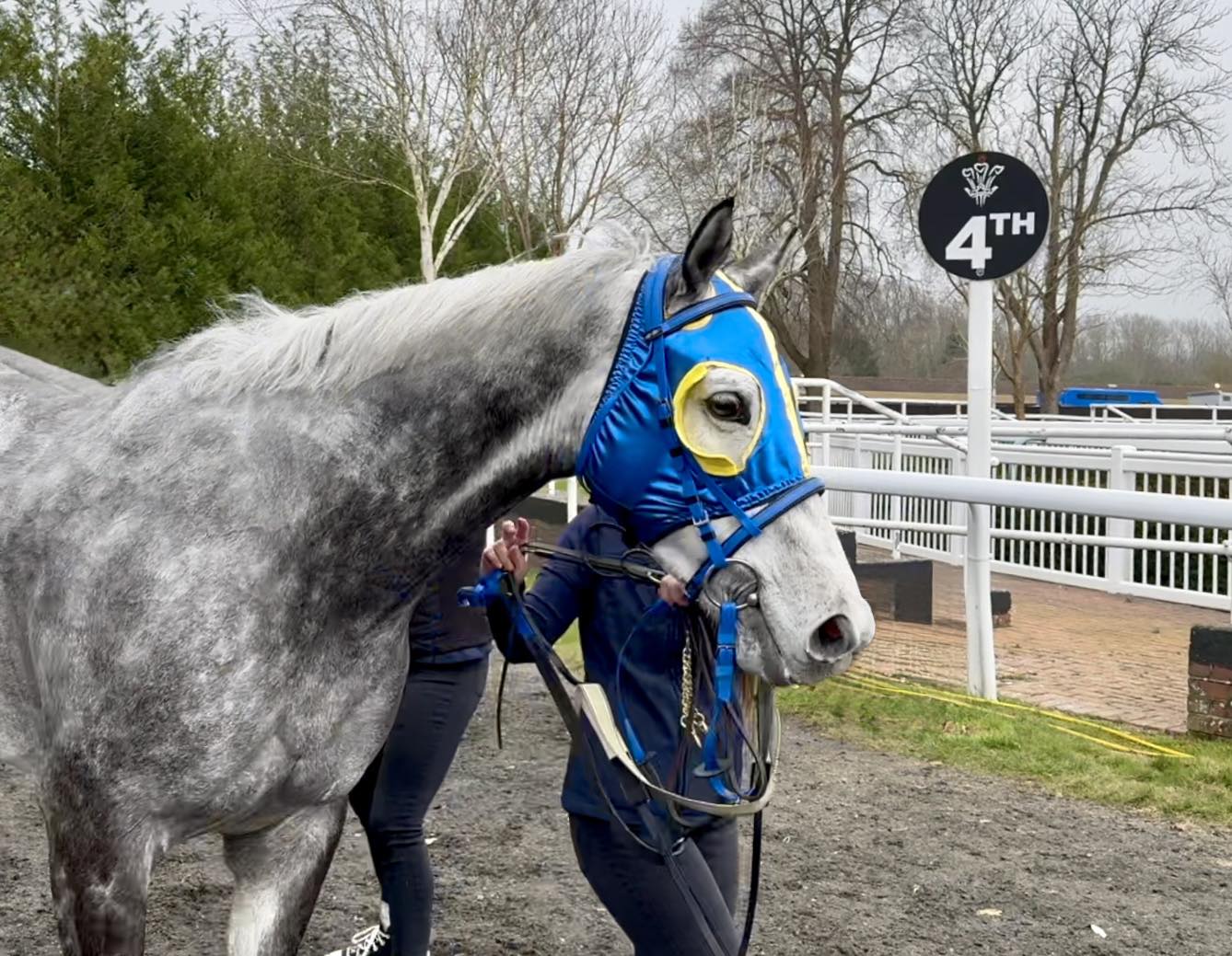 Equestrian R Infinity Limited | Epsom