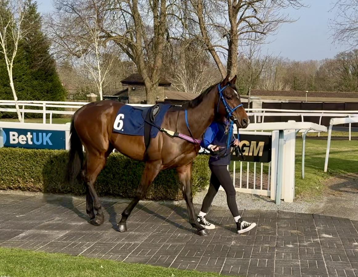 Equestrian R Infinity Limited | Epsom