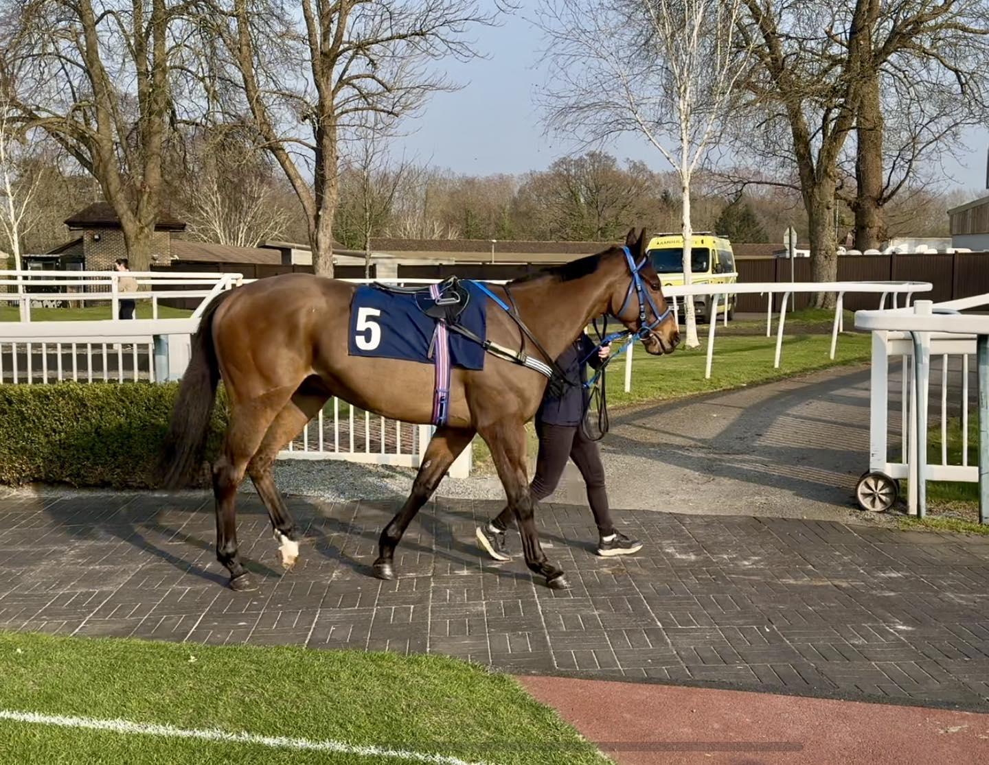Equestrian R Infinity Limited | Epsom