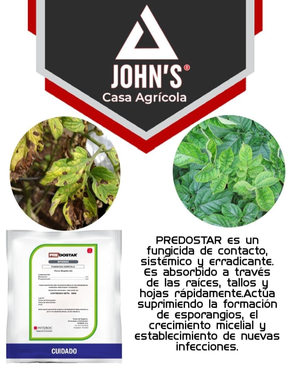 PREDOSTAR fungicida Agricola... - JOHN'S - CASA AGRÍCOLA