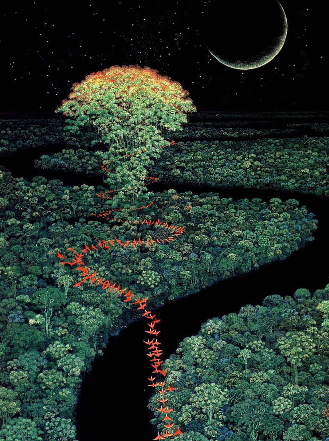Into the depths of the sacred forest 📸 Hiro Isono (1945-2013)