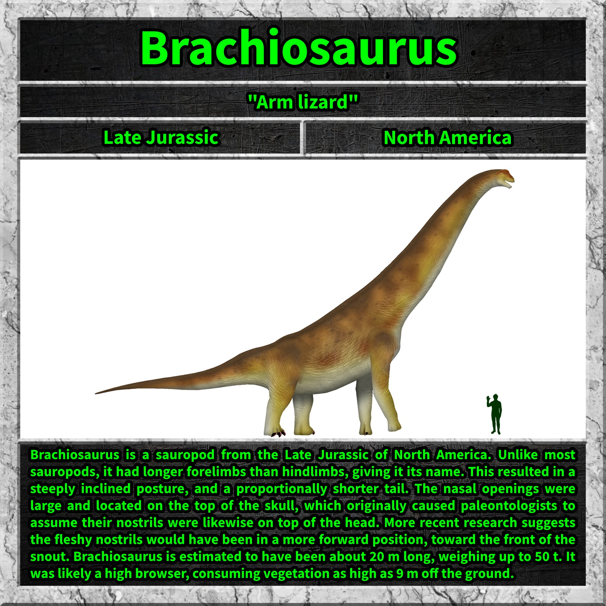 brachiosaurus in a fisher's net 2000  The Creative Company Approximately 28 Jurassic world Brachiosaurus | Kidinn